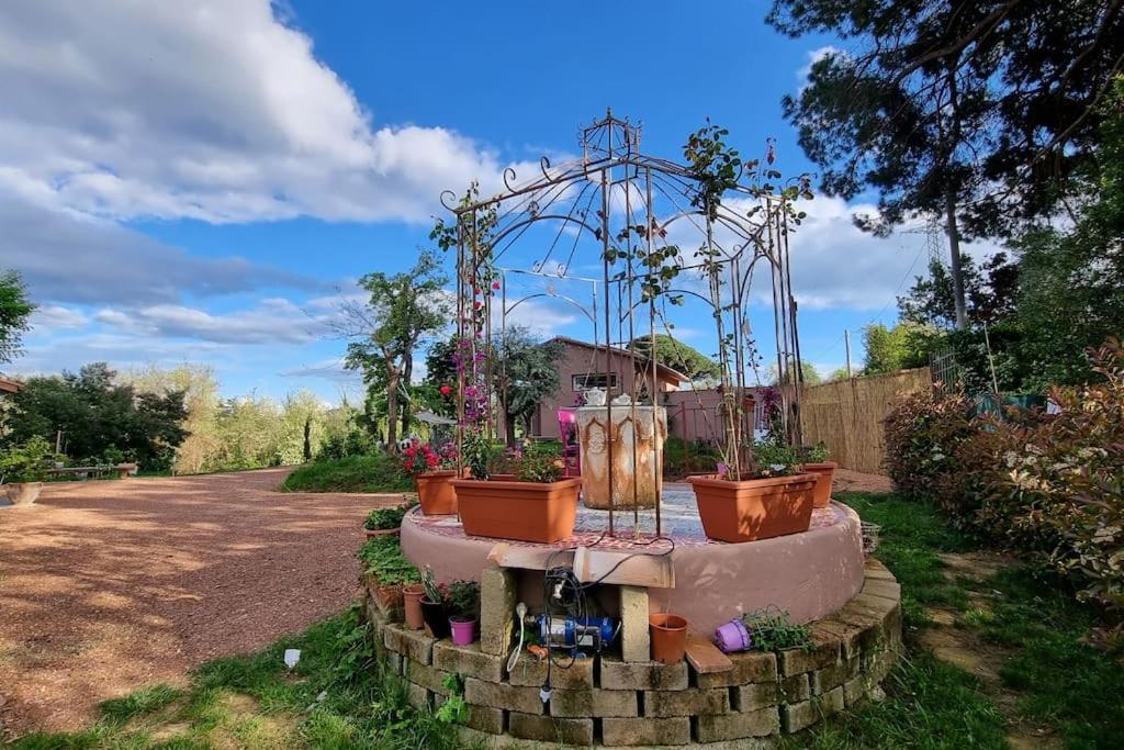 Appartamento Margherita Crespina Exterior foto