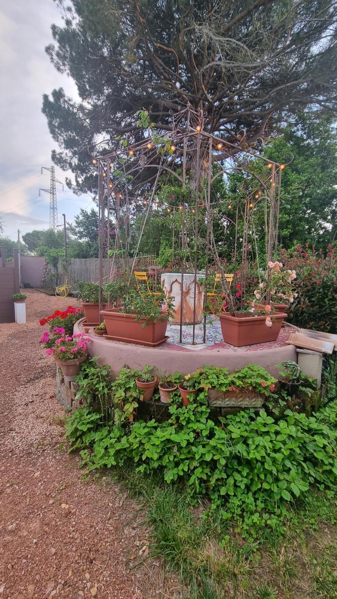 Appartamento Margherita Crespina Exterior foto